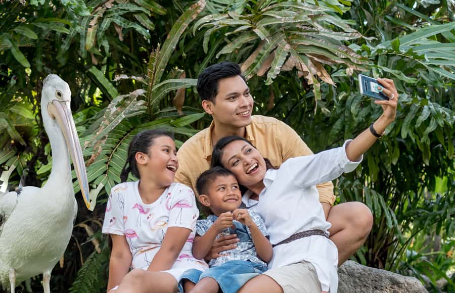 Bali Bird Park 1-Day Admission Ticket - Shows You Can Plan Around: Free Flight, Bird of Prey, and More