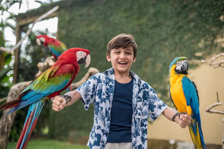 Bali Bird Park 1-Day Admission Ticket - The 4D Cinema Schedule: A Comfortable Break Between Outdoor Hours
