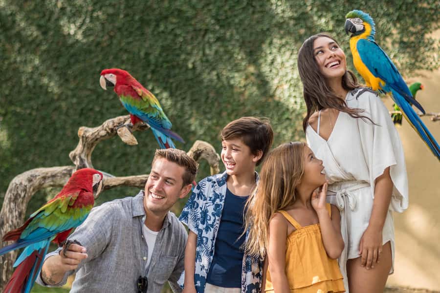 Bali Bird Park: 1-Day Admission Ticket - Where You’ll Spend Your Time Inside the Park