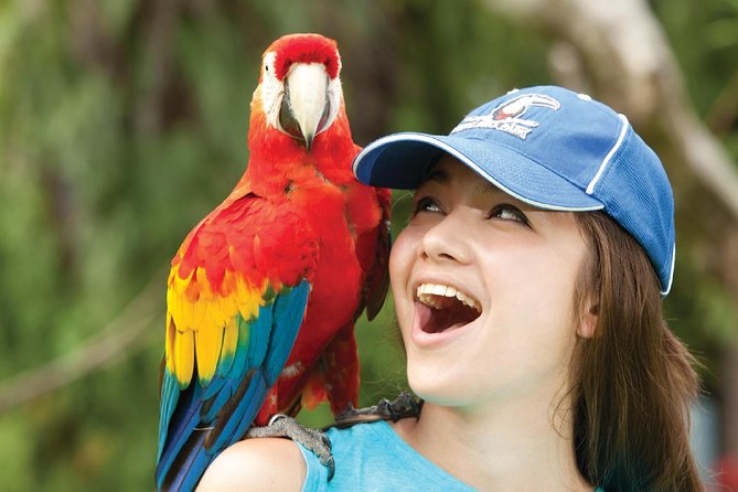 Bali Bird Park Admission Ticket - Why Bali Bird Park Works So Well (Especially With Kids)