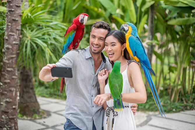 Bali Bird Park Admission Ticket - Feeding Experiences: Where You Get Close (Without Much Effort)