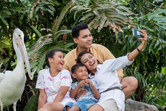 Bali Bird Park Admission Ticket - What About Komodo Dragon Feeding and Other Extra Surprises?