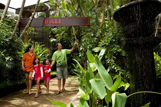 Bali Bird Park Admission Ticket with Hotel Transfer - The shows: included, fun, and easy to plan around