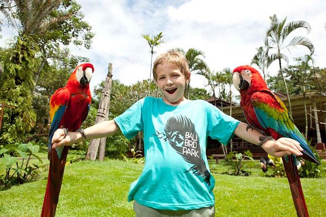 Bali Bird Park Admission Ticket with Hotel Transfer - Bird feeding and close-up opportunities (the part people remember)