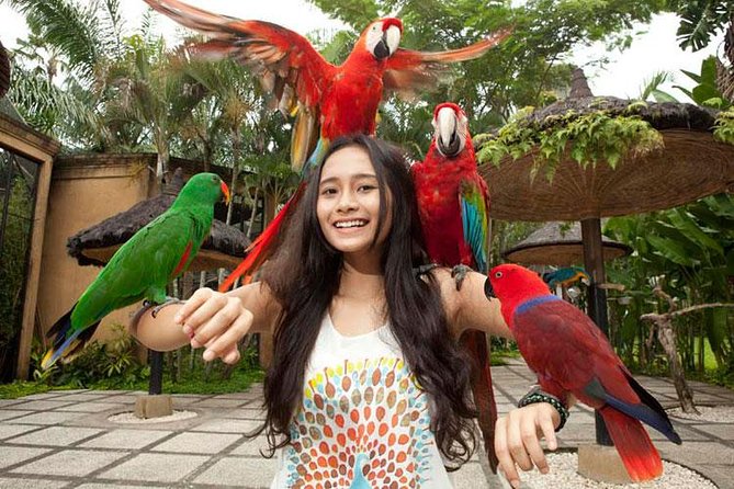 Bali Bird Park Admission Ticket with Hotel Transfer - Practicalities inside: food costs and what to plan for