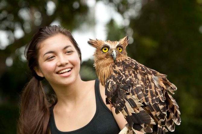 Bali Bird Park Admission Ticket with Hotel Transfer - First stop: Bali Bird Park, where “about 1,000 birds” feels real
