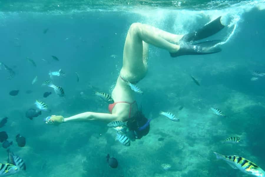 Bali: Blue Lagoon Beach Snorkeling Tour with Lunch - Who should book this snorkeling tour (and who should skip it)
