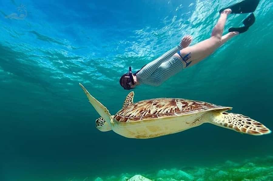 Bali: Blue Lagoon Beach Snorkeling Tour with Lunch - Snorkeling at Blue Lagoon Beach and Tanjung Jepun: what you’re really going for