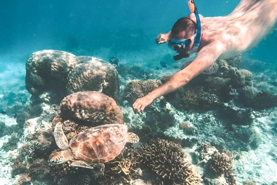 Bali: Blue Lagoon Beach Snorkeling Tour with Lunch - Warung Blue Lagoon lunch: what you get after the water