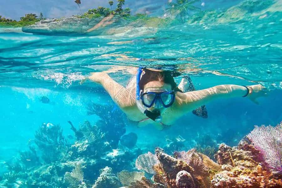 Bali: Blue Lagoon Beach Snorkeling Tour with Lunch - Extra time on land: Lempuyang Temple, Ubud, and Kanto Lampo