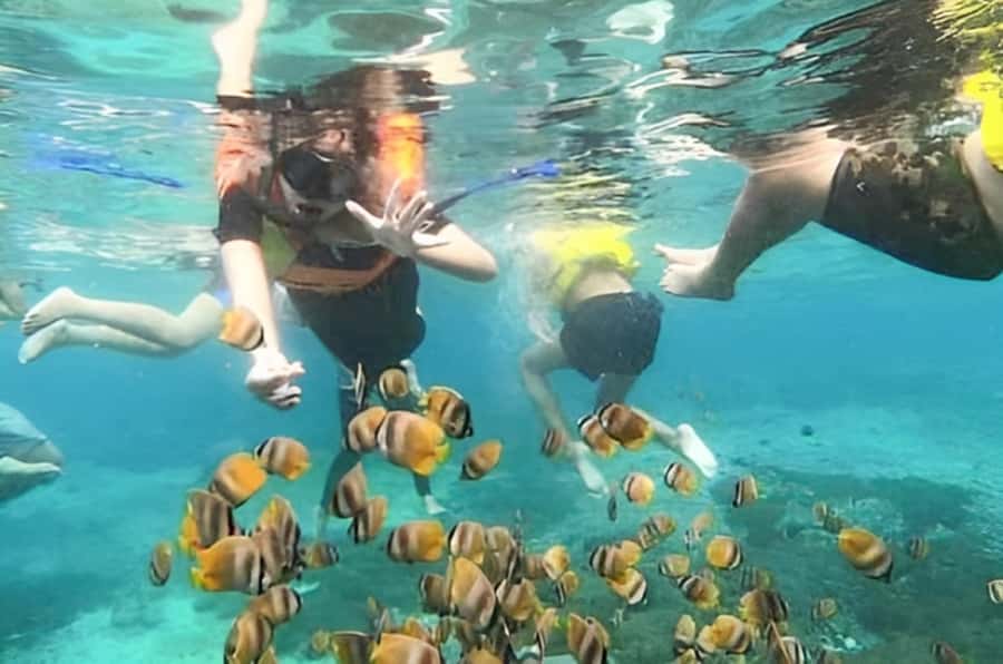Bali: Blue Lagoon Beach Snorkeling Tour with Lunch - Price and value: why around $18 can be a smart deal