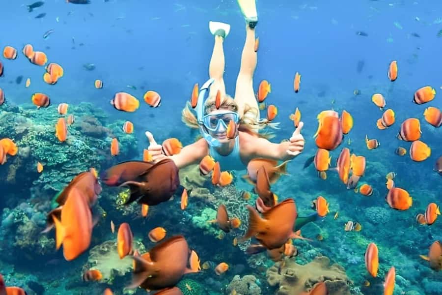Bali: Blue Lagoon Beach Snorkeling Tour with Lunch - Getting started at Puri Rai Restaurant without wasting daylight