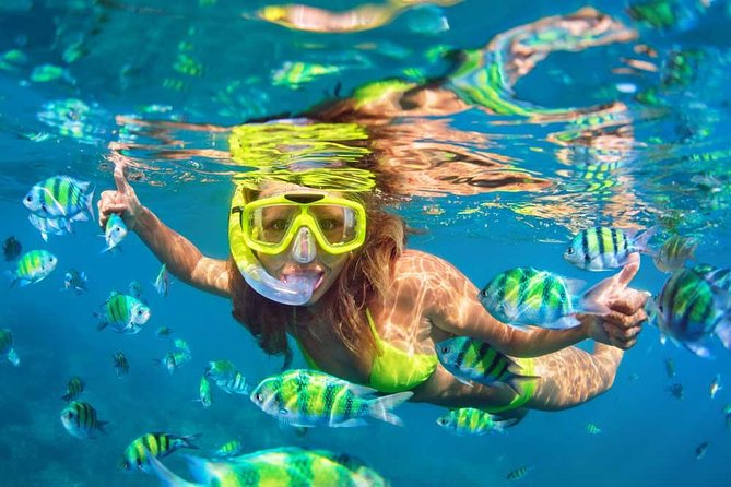 Bali Blue Lagoon Snorkeling Experience - Blue Lagoon: Calm Water, White Sand, and Fishy Chances