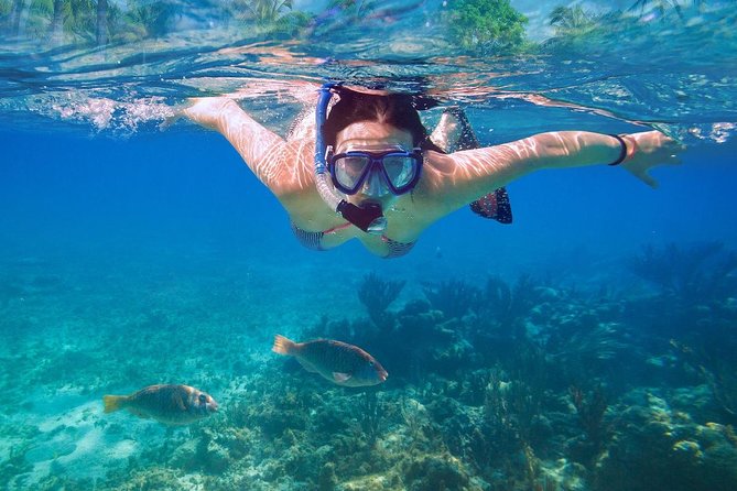 Bali Blue Lagoon Snorkeling Experience - Tanjung Jepun: Another Bay, Another Style of Wildlife