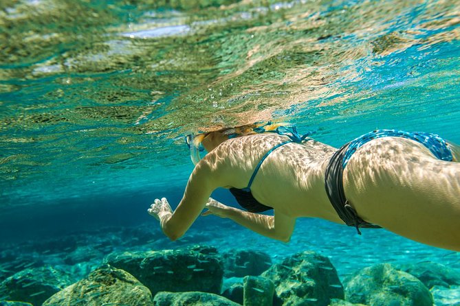 Bali Blue Lagoon Snorkeling Experience - What You Might See Underwater (and How to Spot It)
