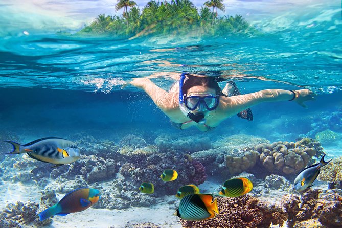 Bali Blue Lagoon Snorkeling Experience - Private Pickup Car, Mobile Ticket, and Your Guide’s Role