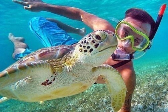 Bali Blue Lagoon Snorkeling - Lunch and Transport All Inclusive - Pickup Timing and Door-to-Door Transport