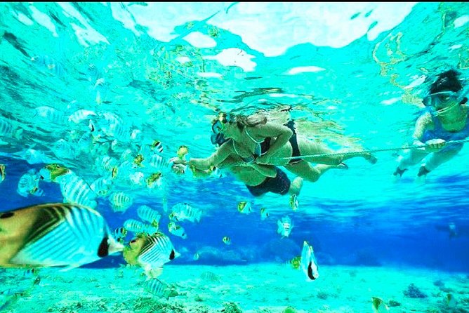 Bali Blue Lagoon Snorkeling - Lunch and Transport All Inclusive - Guides Make or Break the Day: Adi, Made, Denia, Agus, and Ketut