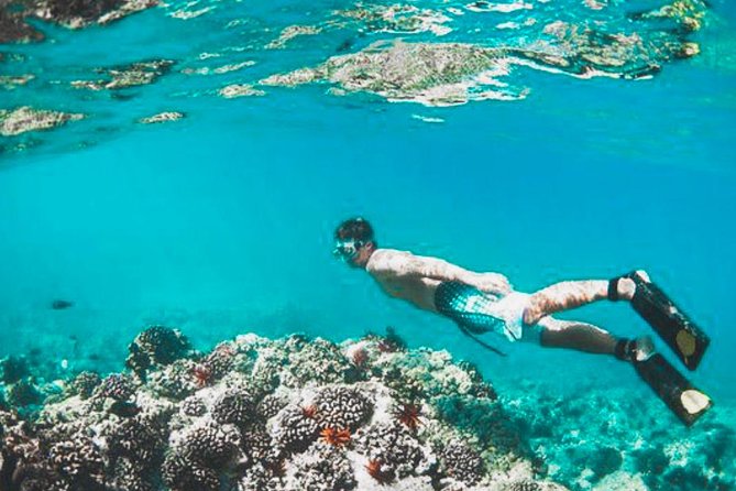 Bali Blue Lagoon Snorkeling - Lunch and Transport All Inclusive - Blue Lagoon Beach and Tanjung Jepun Snorkeling: What You Can Expect