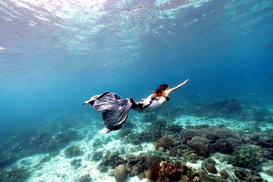 Bali: Blue Lagoon Snorkeling & Waterfall Tour with Lunch - Lunch in Padang Bai: Fuel After the Water, Not During the Rush