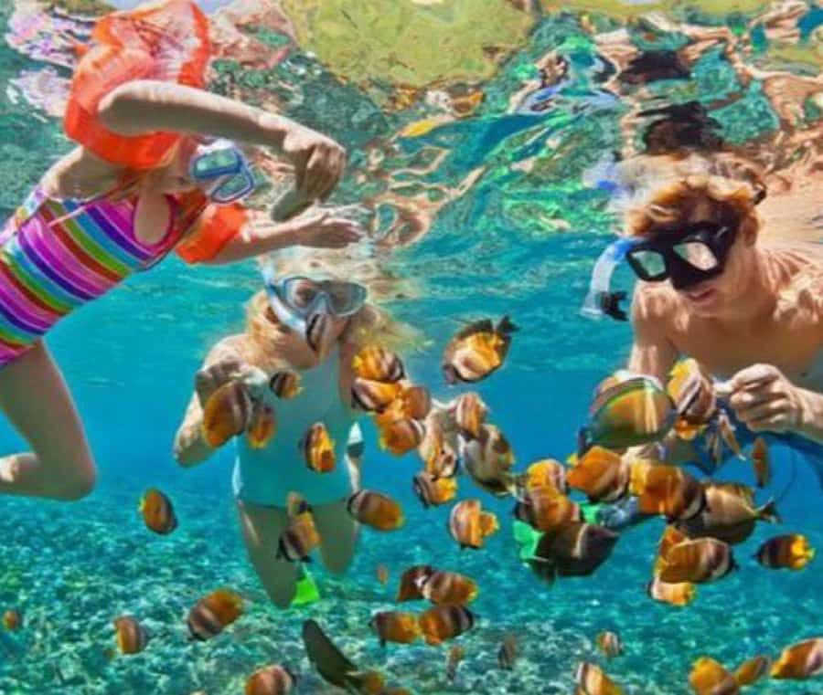 Bali: Blue Lagoon Snorkeling & Waterfall Tour with Lunch - Booking Fit: Who This Tour Is Best For