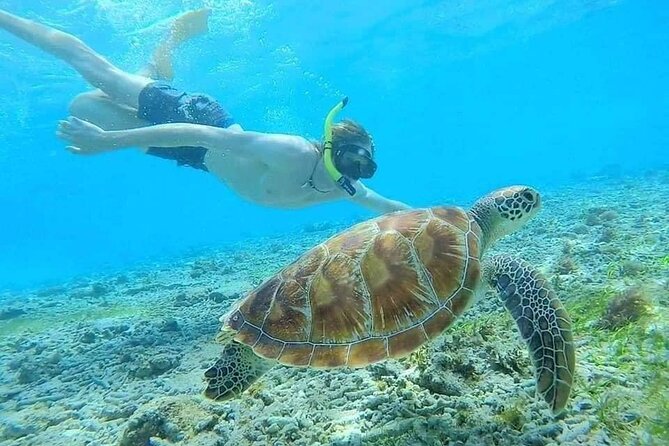 Bali Blue Lagoon Snorkeling with Private Transfer & Lunch - Price and value at around $39.90: what you are really paying for