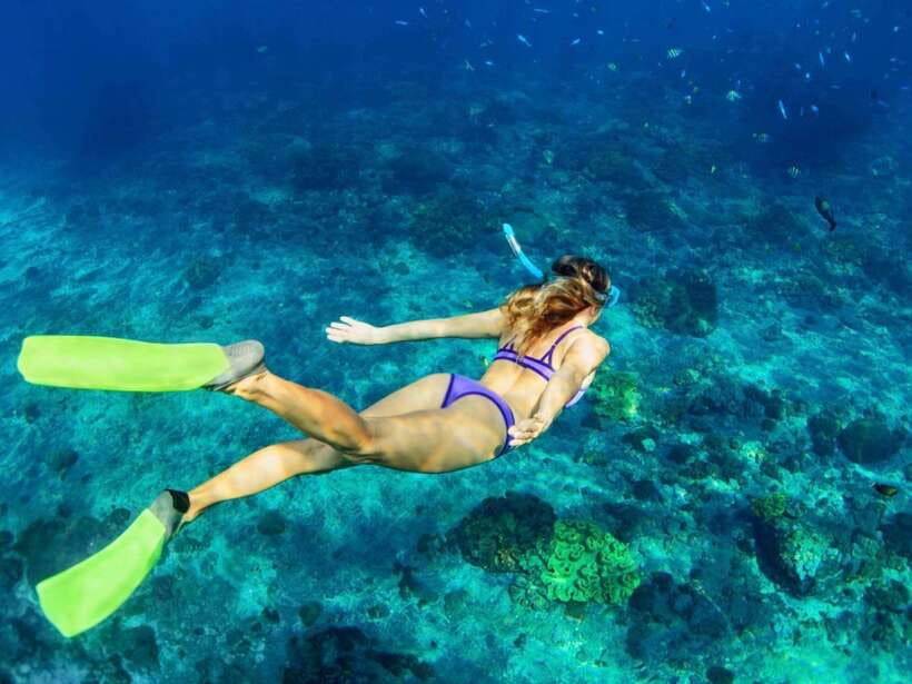 Bali: Blue Lagoon & Tanjung Jepun Snorkeling & lunch - Key highlights you will care about