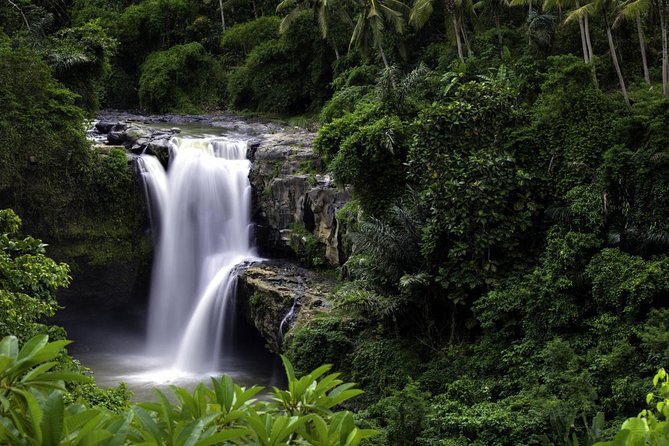 Bali Breathtaking Waterfall Tour (Private & All-Inclusive) - The Bonus Stops You Pass By En Route (Monkey Forest, Market, Rice Terraces)