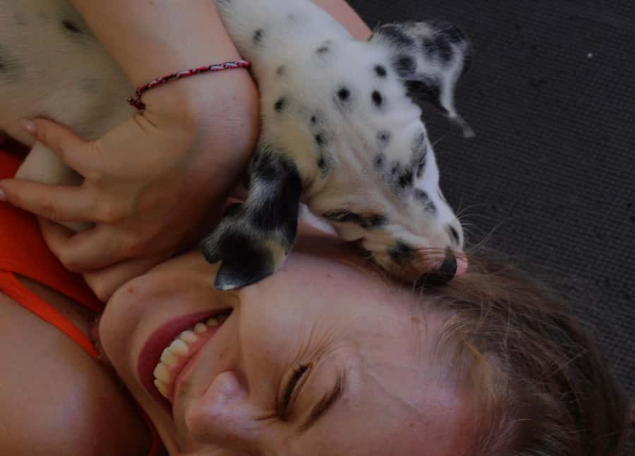 Bali: Canggu & Uluwatu Puppy Yoga Class & Refreshing Drinks - The 1-Hour Flow: Stretching With Rescue Puppies
