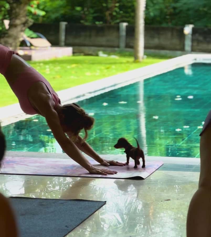 Bali: Canggu & Uluwatu Puppy Yoga Class & Refreshing Drinks - Photos, Videos, and How to Get More Puppy Time