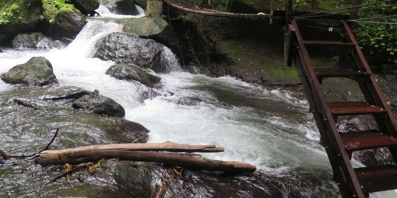 Bali: Canyon Tubing Adventure - Guides, Training, and Real Safety on a Rainforest Course