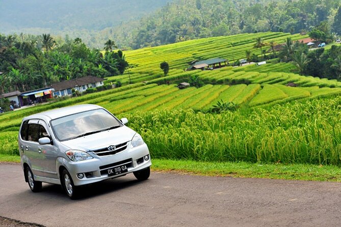 Bali Car Hire with Driver - Ubud and Central Bali Stops: From Monkey Forest to Waterfalls