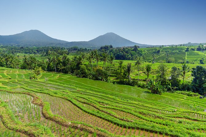 Bali Charm: Full-Day Bedugul and Tanah Lot Tour (UNESCO) - All Inclusive Tickets - Ulun Danu Beratan on Lake Beratan, then UNESCO Jatiluwih rice terraces