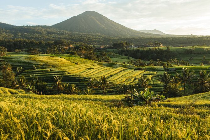 Bali Charm: Full-Day Bedugul and Tanah Lot Tour (UNESCO) - All Inclusive Tickets - Guide quality and why the “private driver” part matters