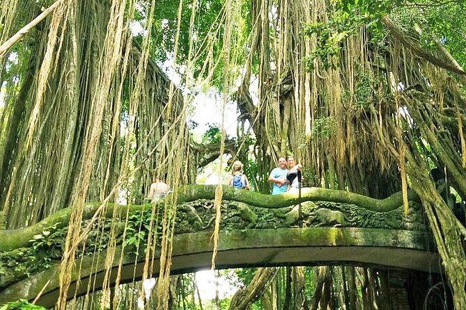 Bali Cooking Class and Ubud Sightseeing Tour - Price and Value: What $46.80 Buys in Ubud