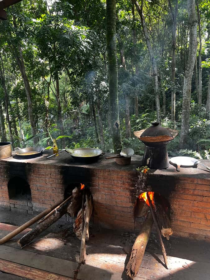 Bali: Cooking Class with 5 Balinese Dishes - Food variety: how five dishes teach the whole Balinese flavor system