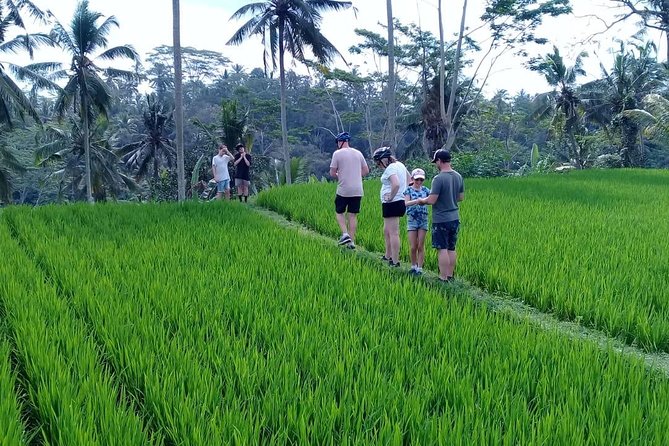 Bali Countryside Cycling Adventure - Key things to know before you go