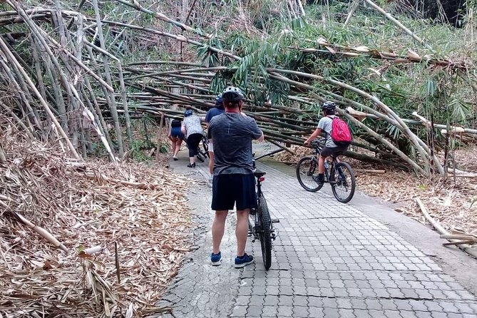 Bali Countryside Cycling Adventure - Stop 3: Penglipuran Bamboo Forest and the Craft Inside the Shade