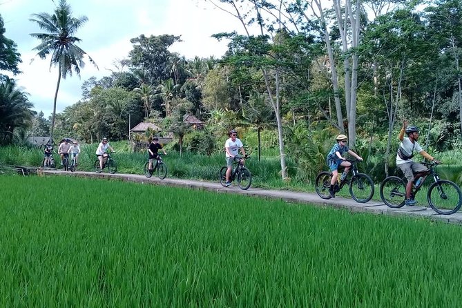Bali Countryside Cycling Adventure - Stop 4: Penglipuran Village, Traditional Life, and Easy Walking Pace