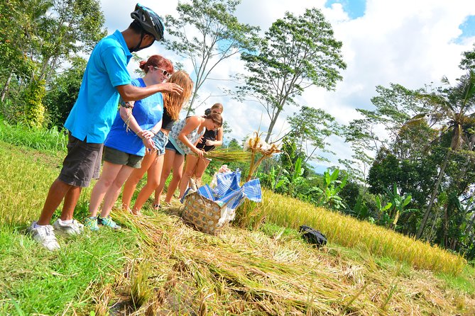 Bali Countryside Cycling Tours - Coffee plantation, civet coffee, and the fuel you actually need