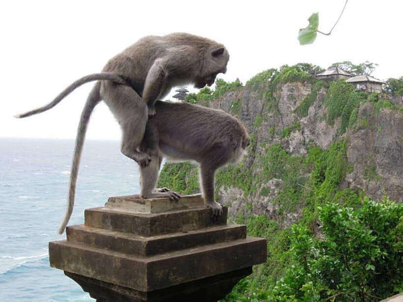 Bali: Customizable Beach Day Tour with Hotel Pickup - Padang Padang Beach: the sand you came for