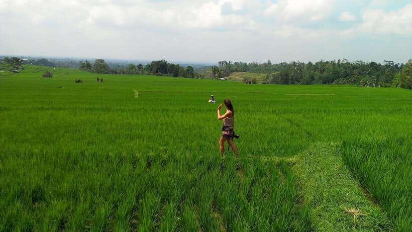 Bali: Customizable Private Tour - What vehicle you get, and why it matters