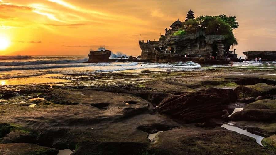 Bali: Customized Private Car Charter with Optional Guide - Key points before you book