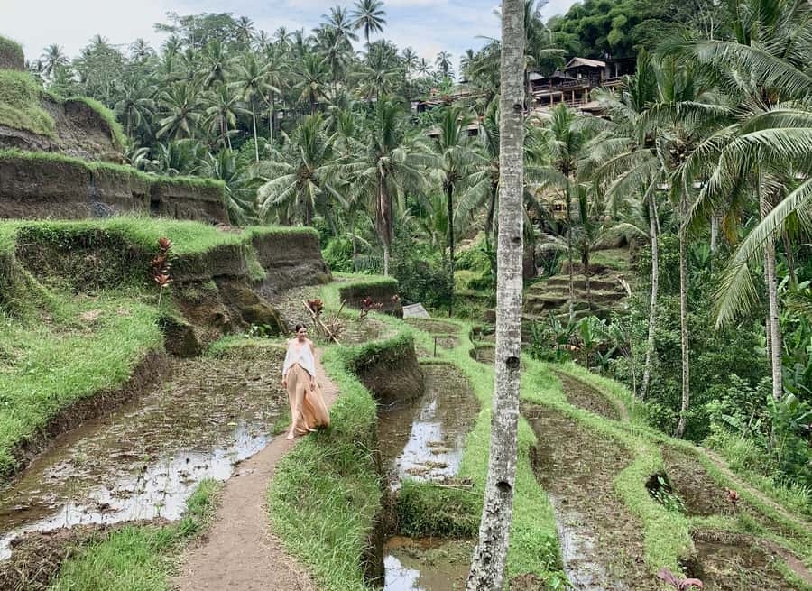 Bali: Customized Private Tour with a Female Guide - Kintamani and Mount Batur: Temples and Views Without the Guesswork