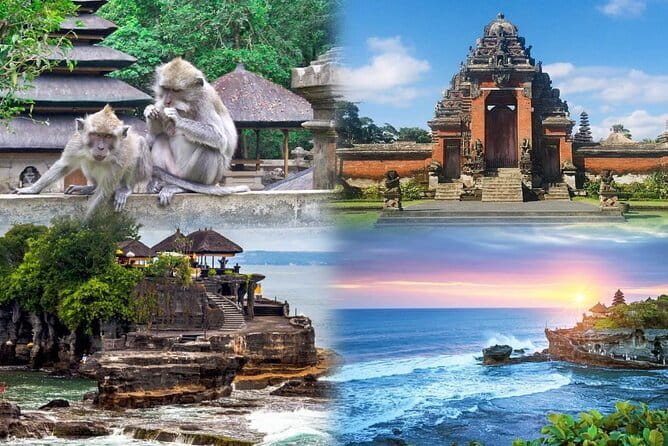 Bali Day Trip: Bali Instagram Tour (All Inclusive & Private) - Bali Swing and Bird Nest tickets: the fun, high-energy stop