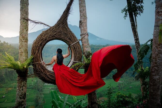 Bali Day Trip: Bali Instagram Tour (All Inclusive & Private) - Tegalalang Rice Terrace: the classic terraces done right