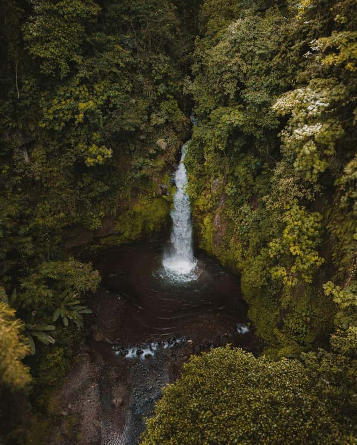Bali: Discover Jungle Waterfalls and Rice Terraces - Key highlights you will care about