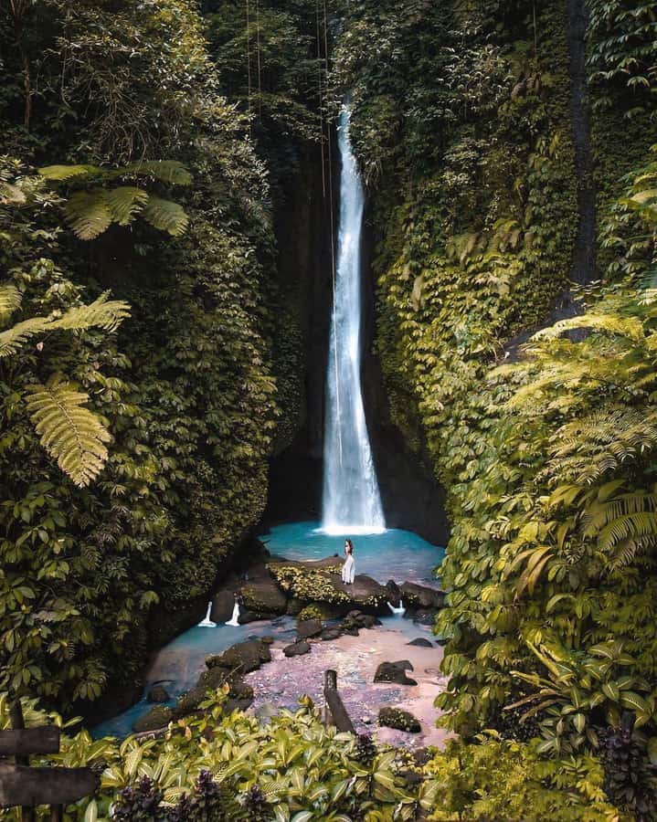 Bali: Discover Jungle Waterfalls and Rice Terraces - Three waterfalls and rice terraces, planned for real time on the ground
