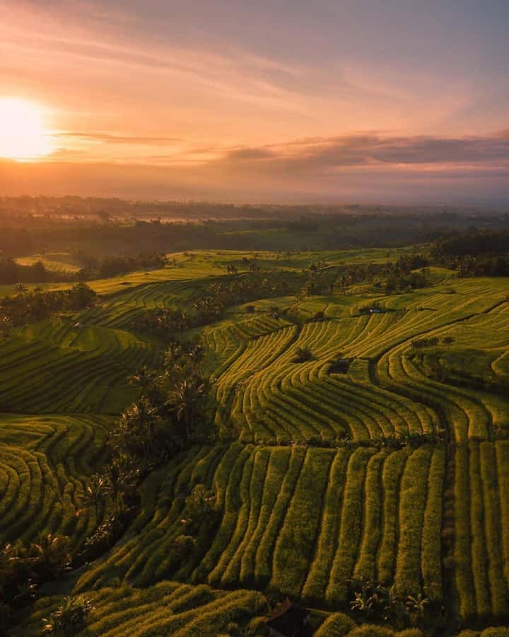 Bali: Discover Jungle Waterfalls and Rice Terraces - Goa Gong: cave-like waterfall sounds and a calmer rhythm