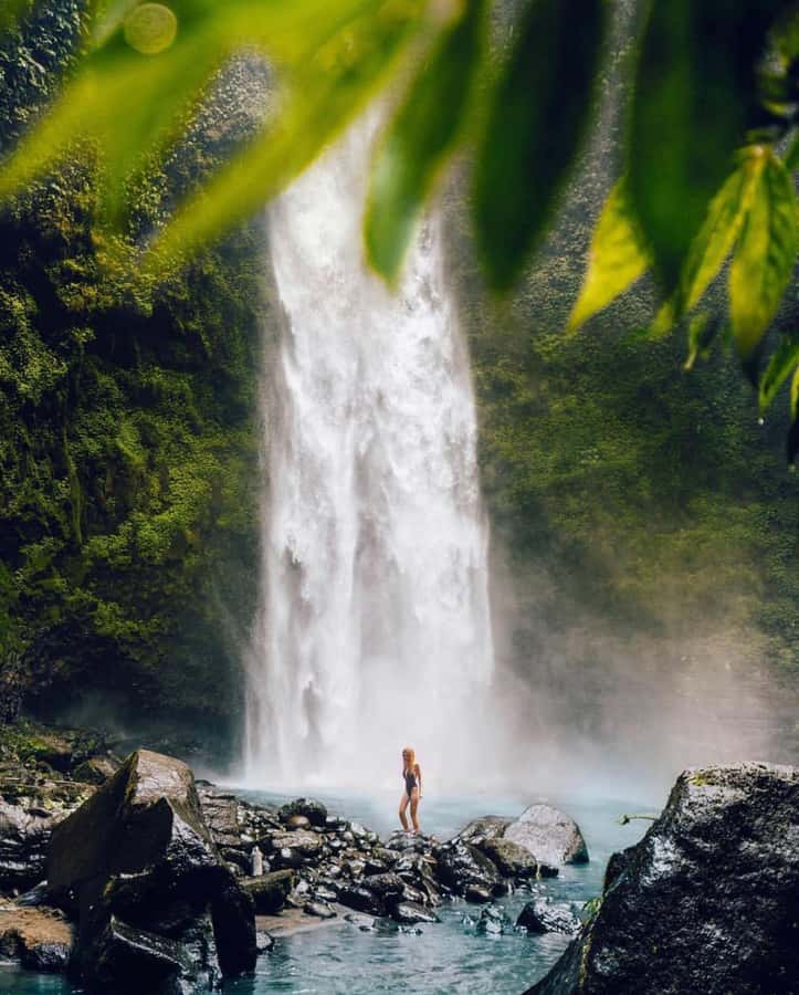 Bali: Discover Jungle Waterfalls and Rice Terraces - Guides who make the day feel smooth, safe, and personal
